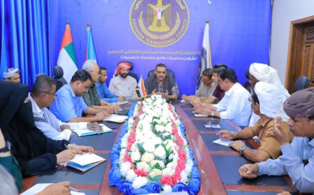 تنفيذية انتقالي وادي وصحراء حضرموت تناقش الأوضاع المعيشية والخدمية بالمديريات