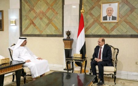 وزير الخارجية يبحث مع السفير الإماراتي تنسيق المواقف تجاه القضايا ذات الاهتمام المشترك