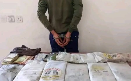 قوات دفاع شبوة تحبط عملية تهريب كمية كبيرة من مادة الحشيش المخدر كانت في طريقها إلى العاصمة عدن
