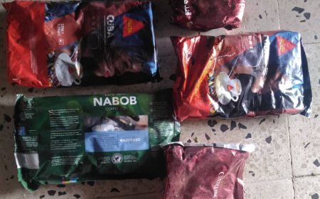 قسم شرطة الوبح بالضالع تسلم (12,945) كيلوجرام من الحشيش المخدر إلى إدارة مكافحة المخدرات