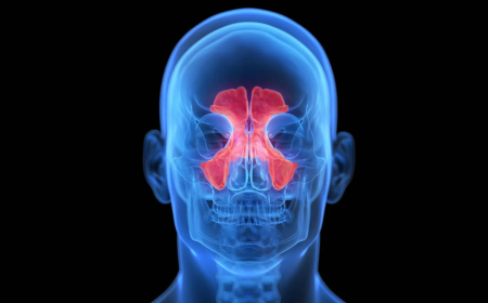 الجيوب الأنفية... 8 معلومات حول سلامتها