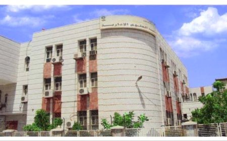 إدارة الأعمال في جامعة عدن: نحو مستقبل إداري واعد لبناء القدرات