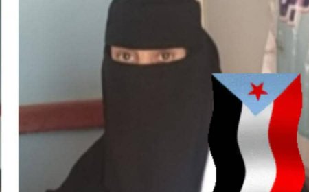 فيتنام العلوي.. الجنوب يرفض الوصاية ويطالب برحيل القوى الشمالية واستعادة دولته المستقلة