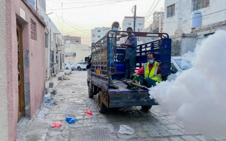 صحة البيئة بصيرة تواصل تنفيذ حملة الرش الضبابي في أحياء المديرية