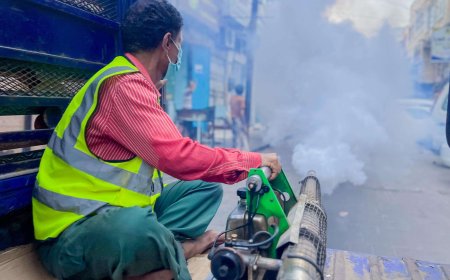 عدن.. تنفيذ حملة رش ضبابي لمكافحة البعوض الناقل للأمراض والأوبئة بمديرية صيرة