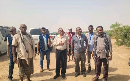 بتوجيه من الوزير السقطري والمحافظ تُركي.. وكيل وزارة الزراعة وفريق منظمة "الفاو" يزوران بنك البذور ومزرعة وادي خير بلحج