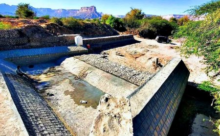 برعاية المحافظ بن الوزير تسليم عدد من المشاريع الزراعية بحبان بتكلفة 230 الف دولار