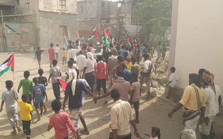 تتواصل الوقفات التضامنية مع الشعب الفلسطيني بمحافظة ابين مديرية خنفر