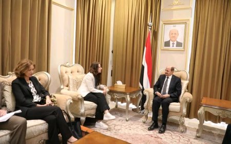 وزير الخارجية يلتقي المبعوثة النرويجية إلى اليمن