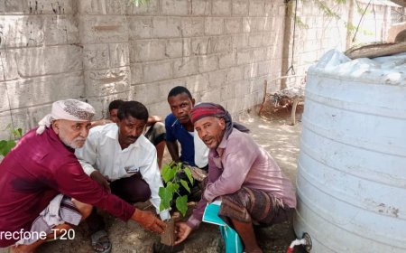 مكتب البيئة يوزع شتلات للمواطنين في منطقة الشيخ عبدالله الساحلية بزنجبار
