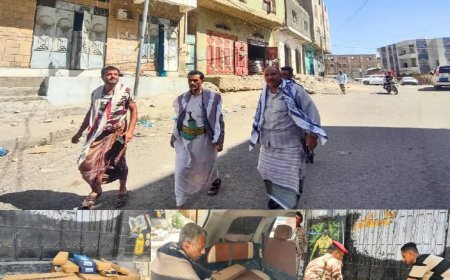 مديرية القاهرة بتعز تزوّد حي الروضة بإنارات شمسية لتعزيز الأمن المجتمعي