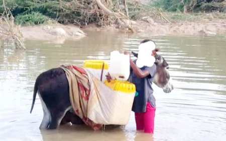 أزمة مياه الشرب في ميفع تتفاقم وسط صمت السلطة المحلية ومخاوف من تفشي الأوبئة