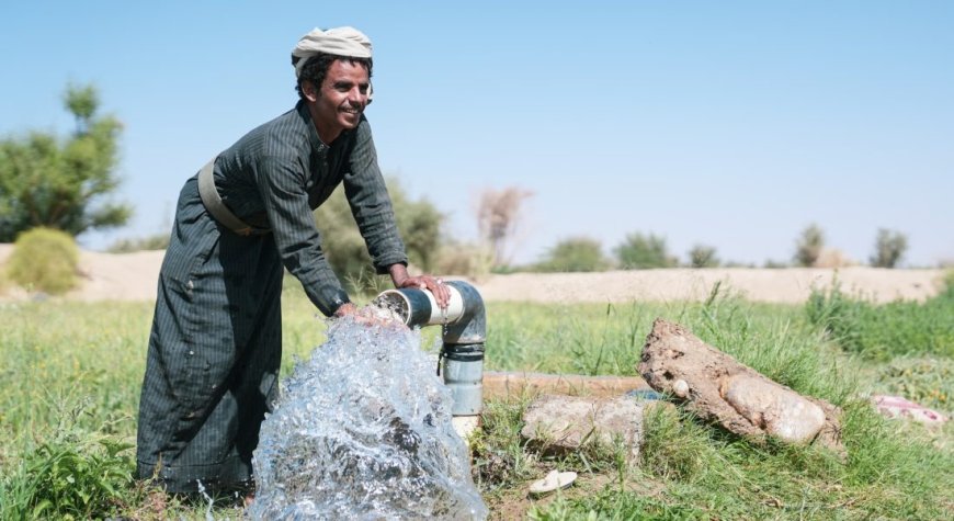 من حقول الموت إلى واحة للحياة.. مسام يعيد الطمأنينة لأبناء شبوة