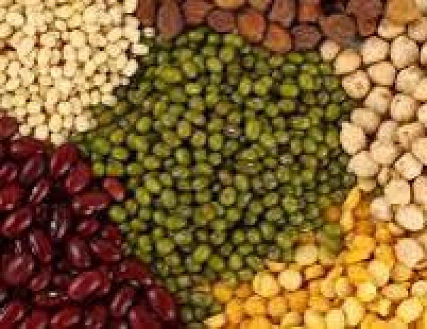 جنة سيدز.. جهود تستحق التقدير .