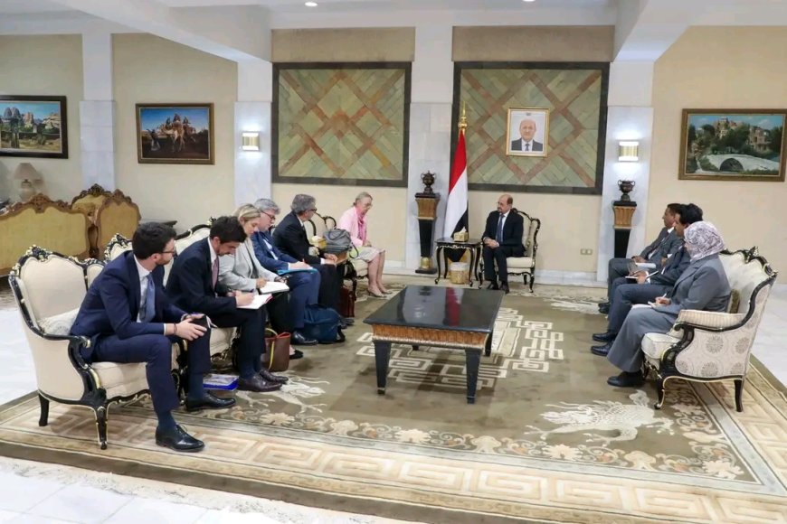 وزير الخارجية يبحث مع مسؤولة أوروبية التنسيق لمواجهة التحديات الإقليمية والدولية