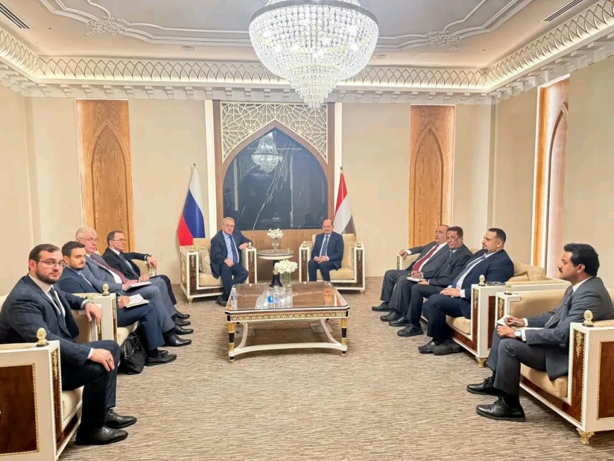 وزير الخارجية يلتقي المبعوث الخاص للرئيس الروسي للشرق الأوسط وأفريقيا