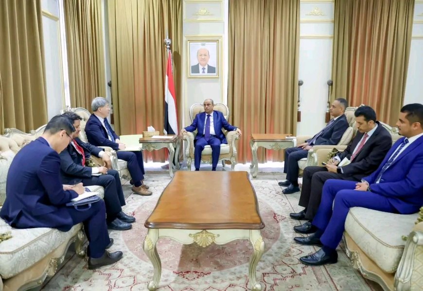 رئيس الوزراء يستقبل سفير جمهورية كوريا لدى اليمن