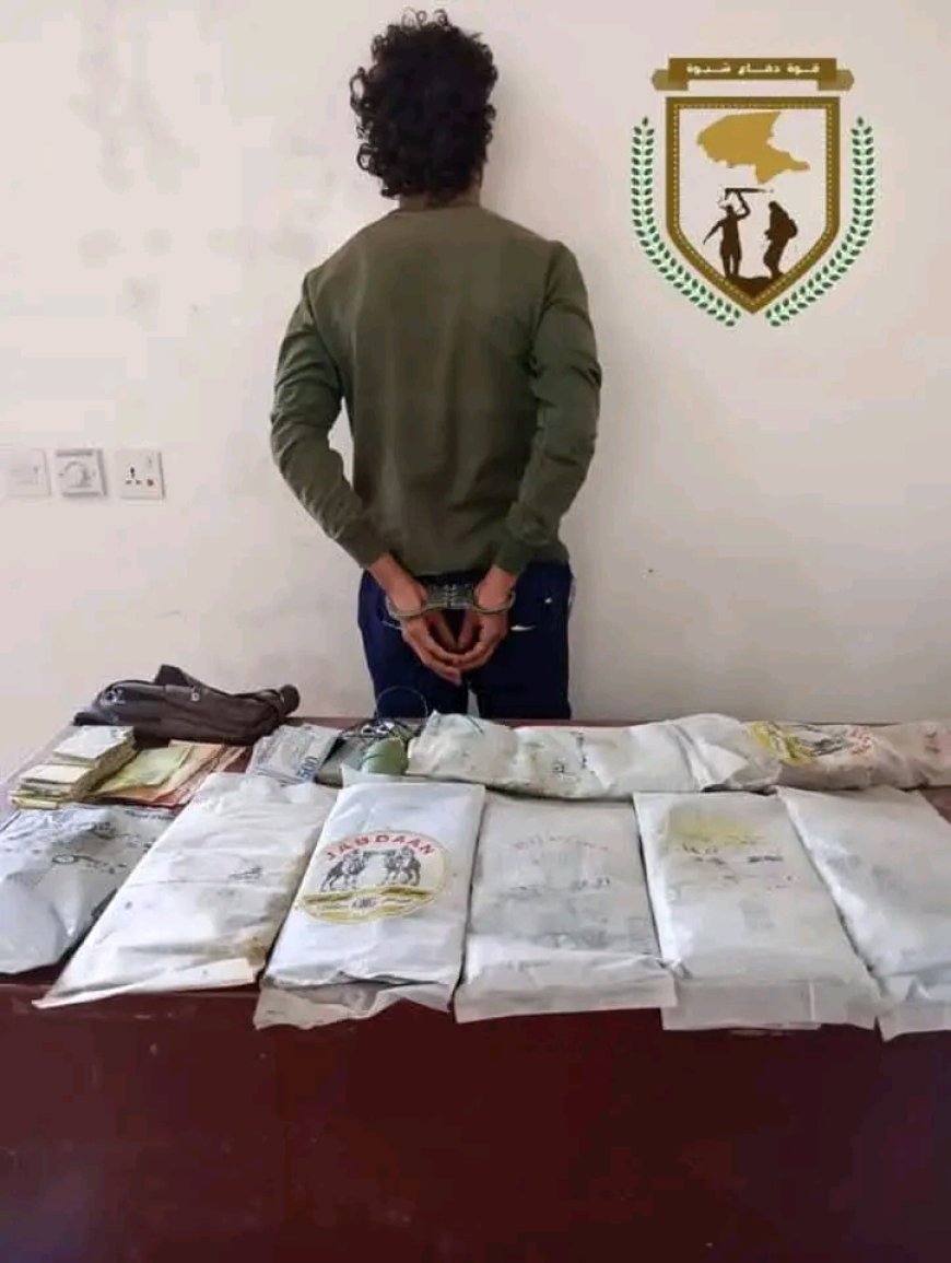 قوات دفاع شبوة تحبط عملية تهريب كمية كبيرة من مادة الحشيش المخدر كانت في طريقها إلى العاصمة عدن