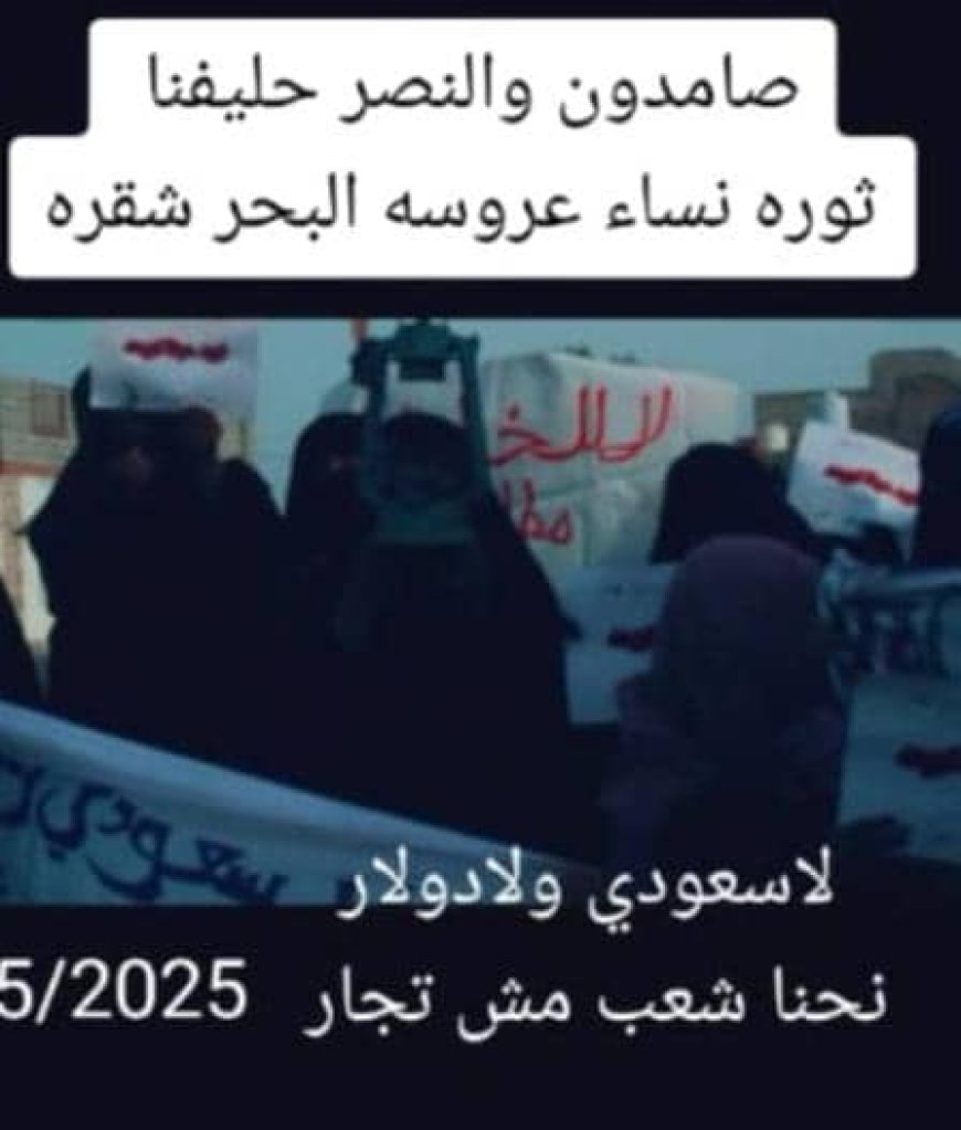 مظاهرة نسوية ثانية تشهدها شقرة بأبين