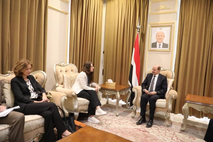 الزنداني يبحث مع المبعوثة النرويجية التصعيد الحوثي ودعم السلام في اليمن