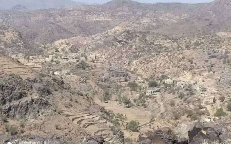 محاولة ذبح مواطن في تعز.. تفاصيل