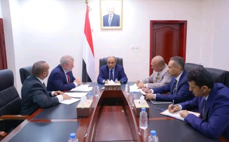 رئيس الوزراء يستقبل في عدن ممثل منظمة اليونيسيف