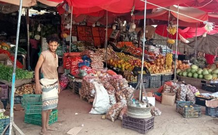 مدير عام سوق الخضار المركزي بالمنصورة : هناك استحداثات جديدة طرأت على السوق والاسعار تواكب ما يطلبه المواطن