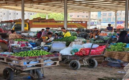 مدير عام سوق الخضار المركزي المنصورة: هناك استحداثات جديدة طرأت على السوق والأسعار تواكب ما يتطلبه المواطن