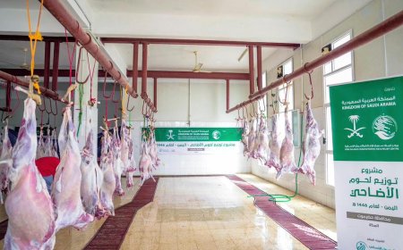 مركز الملك سلمان الاغاثة يدشن مشروع الاضاحي في أربع محافظات يمنية للعام 2025م