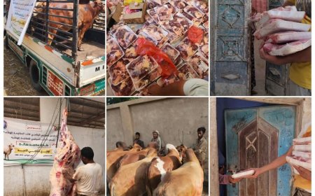 برعاية العميد طارق صالح..تدشين توزيع مشروع أضاحي العيد لأكثر من 1200 أسرة من الفقراء والمحتاجين في عدن ولحج وأبين