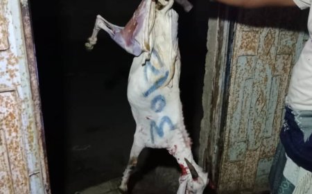 مؤسسة أبين للتنمية تنفذ مشروع توزيع لحوم الأضاحي بدعم من اتحاد الجمعيات والمؤسسات الخيرية والتنموية في المحافظات المحررة