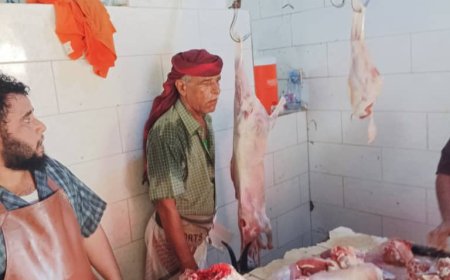 خلال عيد الأضحى.. ضبط ملاحم مخالفة ورفض محال جزارة الالتزام بالسعر الرسمي بعدن