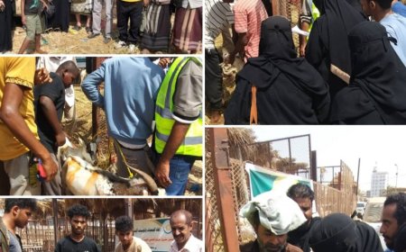 اتحاد الجمعيات والمؤسسات الخيرية يدشن توزيع أضاحي العيد