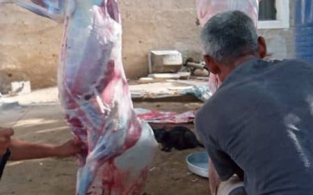 مؤسسة باقادر توزع لحوم الأضاحي لـ50 أسرة في خنفر بدعم من فاعلي الخير وبشراكة مع اتحاد جمعيات عدن