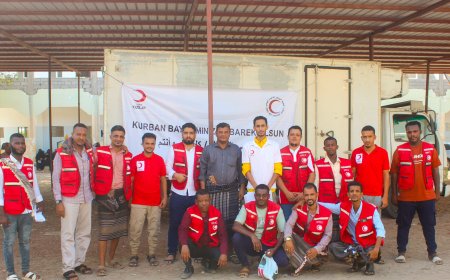 بدعم من الهلال الأحمر التركي.. الهلال الأحمر اليمني يوزع 450 سلة لحوم أضاحي للأيتام والمعاقين في الكود – خنفر