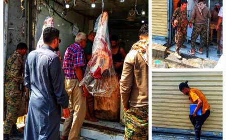 معززة بقوة أمنية.. "الصناعة" تغلق ثلاث ملاحم مخالفة في المنصورة