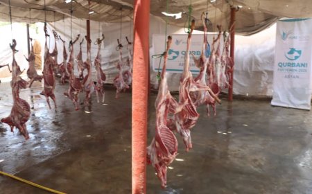 مؤسسة بلقيس للنماء والتطوير  تختتم مشروع الأضاحي 1446هـ بمحافظة أبين