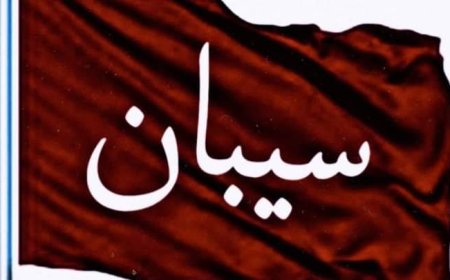 بيان توضيحي صادر عن مقادمة فخائذ وطوائل قبيلة سيبان