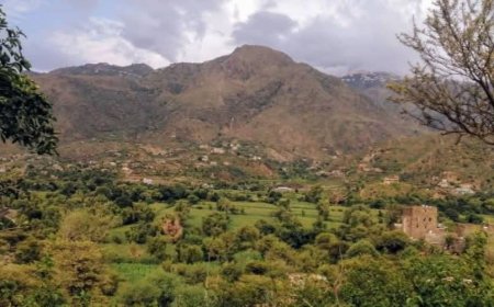 عصابة تحول الفرح إلى حزن بمنطقة برداد في مدينة تعز.. تفاصيل