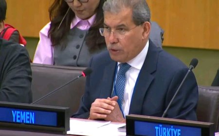 اليمن يجدد التزامه بحماية وصيانة حقوق الأطفال وضمان بيئة صحية وتعليمية ملائمة