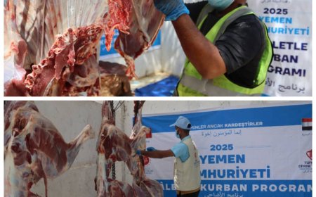 بتمويل وقف الديانة التركي ، مؤسسة البادية تنفذ مشروع الاضاحي لعام 1446 / 2025 بالشراكة والتعاون مع مؤسسة اليتيم التنموية بعدن بمحافظة عدن