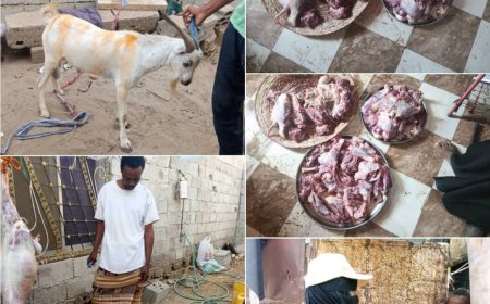 أبين : بدعم من اتحاد الجمعيات والمؤسسات  مؤسسة البركة توزع لحوم الاضاحي على الاسر الفقيرة والمعدمة في الكود