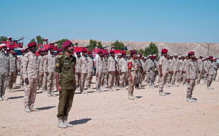 منتسبو محور الغيضة العسكري يطالبون قيادة التحالف العربي بإعادة صرف مكرمة الملك سلمان