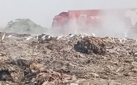 تكديس القمامة بوادي دوفس، كارثة بيئية تهدد الحياة البحرية والبرية بأبين!