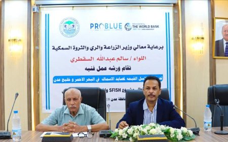 ورشة عمل فنية لدراسة سلاسل القيمة لمصائد الأسماك في البحر الأحمر وخليج عدن