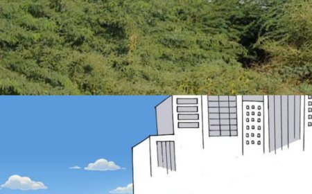 دلتا ابين أراضي واسعة تكسوها الاشجار والزحف العمراني وزحف الرمال(تقرير)