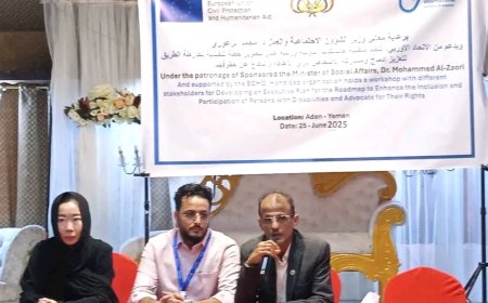 برعاية وزير الشؤون الاجتماعية والعمل: ورشة تدريبية لتعزيز قدرات العاملين مع ذوي الإعاقة