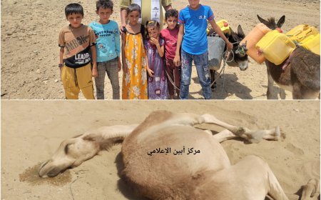 أهالي قرية ”حبيب الهارش” بوضيع أبين يشربون من برك الأمطار الملوثة .. فمن ينقذهم من العطش ..؟!