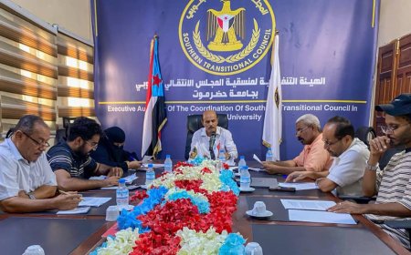 منسّقية انتقالي جامعة حضرموت تناقش آليات مقترح تنفيذ الملتقى الصيفي الثاني