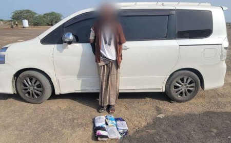 أبين.. حزام الساحل يضبط متهم بحيازة خمسة كيلو من الحشيش بشقرة